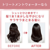 ORBIS Treatment Hair Water