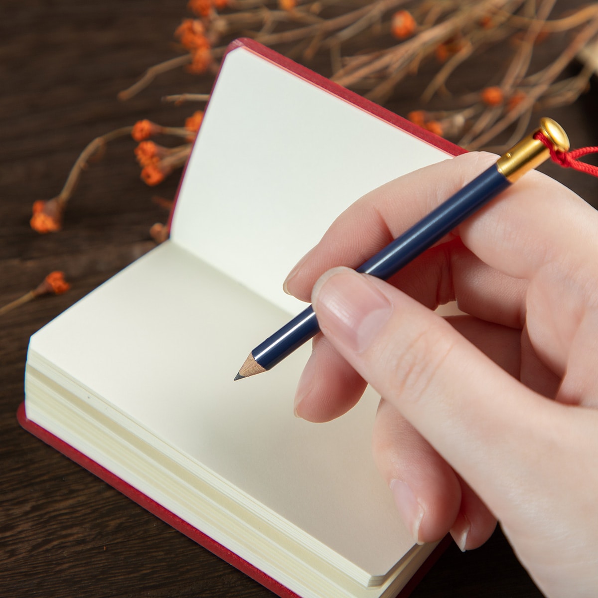 Kiki's Mini Notebook