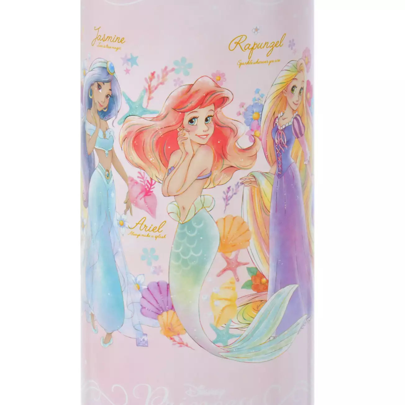 Disney Princess Water Bottle Stainless Steel with Strap
