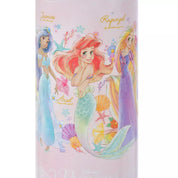 Disney Princess Water Bottle Stainless Steel with Strap