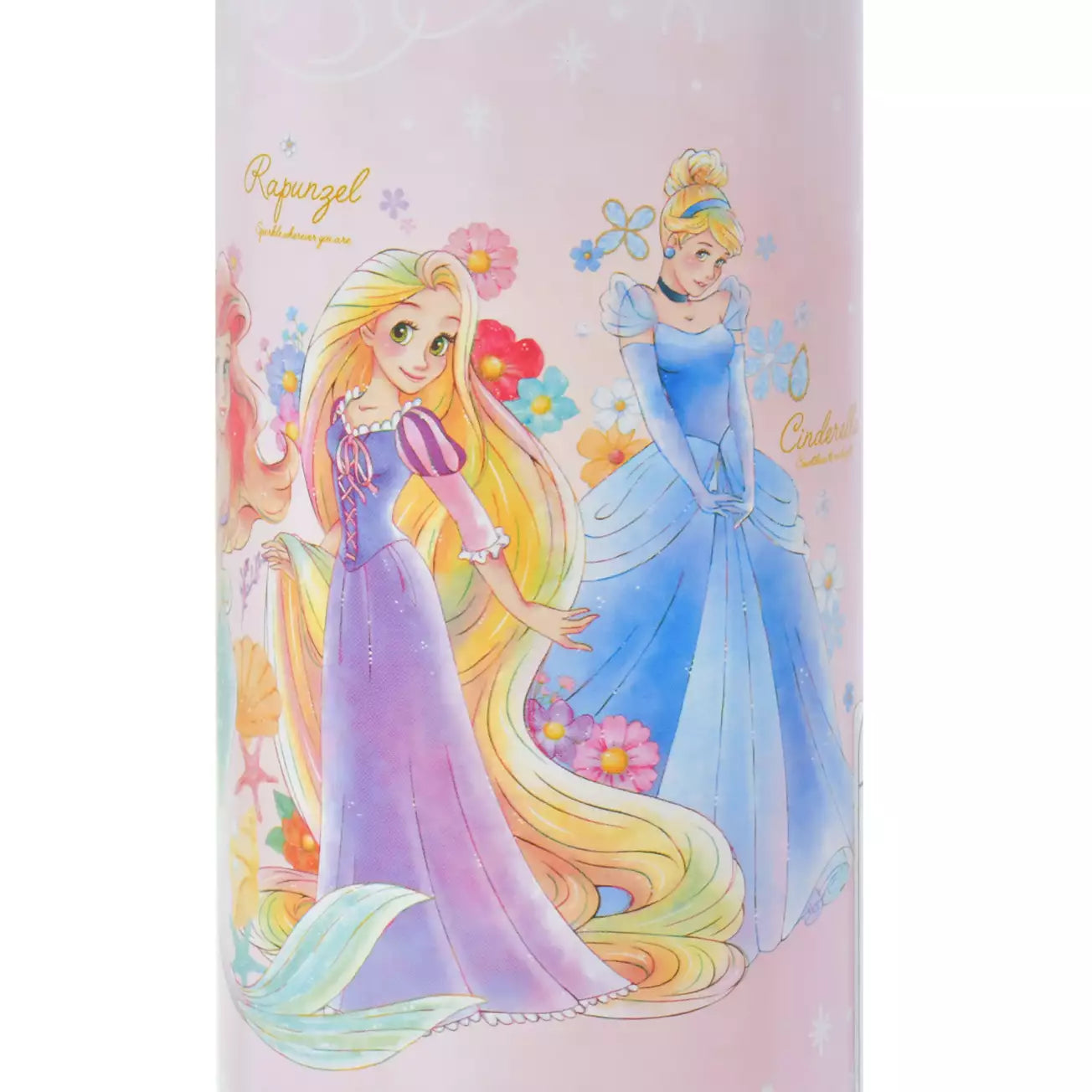 Disney Princess Water Bottle Stainless Steel with Strap