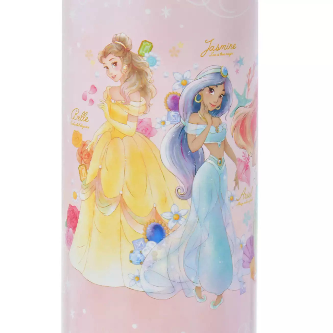Disney Princess Water Bottle Stainless Steel with Strap